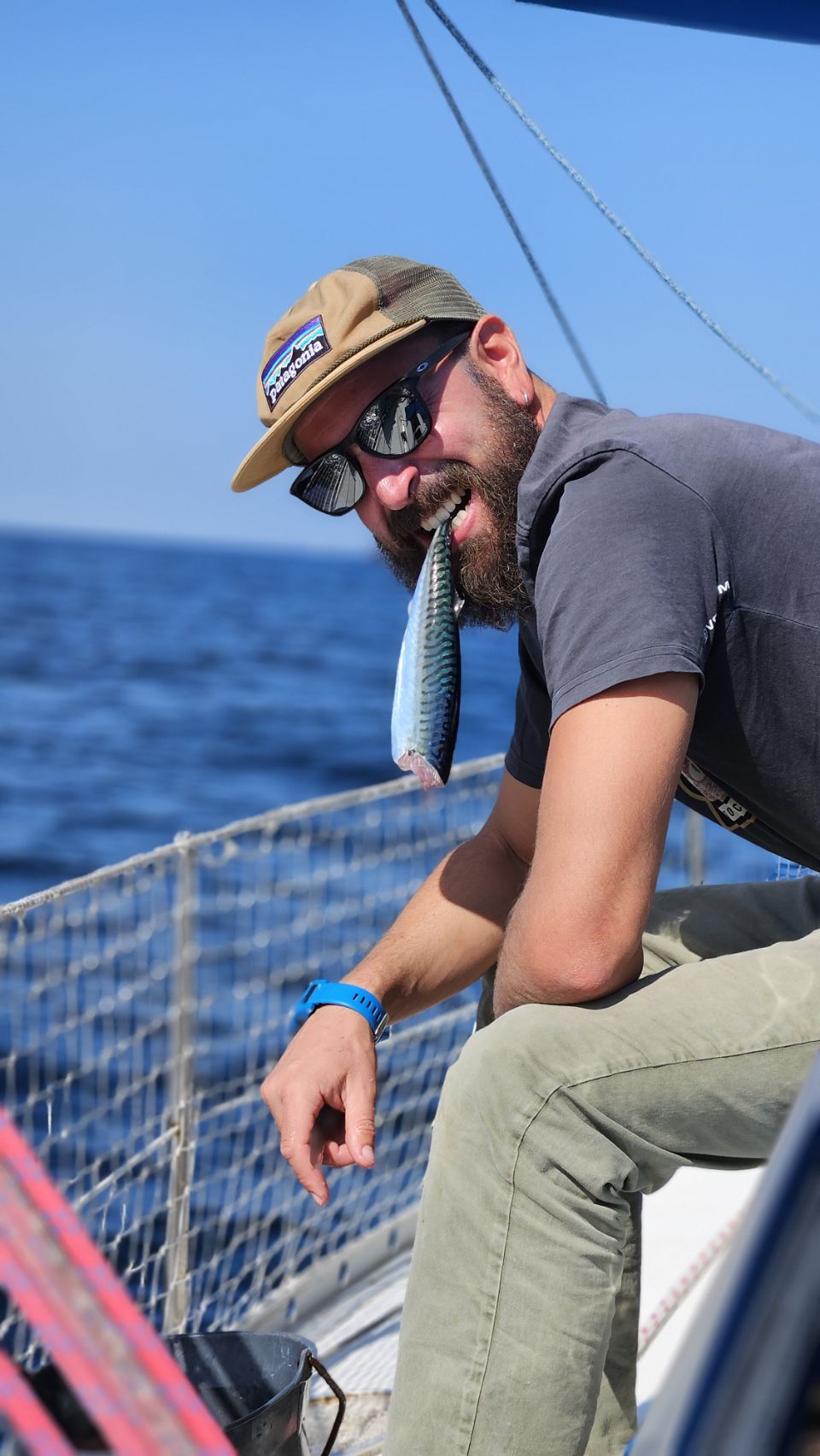 Thomas, un maquereau tout juste pêché coincé dans la barbe, à bord d'Azurite